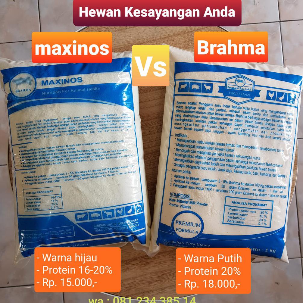 Maxinos dan Brahma  - Susu Pengganti Hewan Ternak Sapi Kambing Domba Cempe Pedet dll