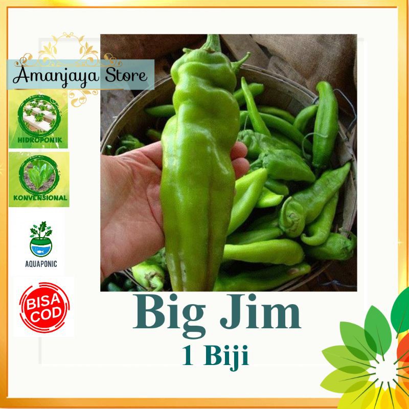 Benih CABE BESAR BIG JIM HOT PEPPER isi 1 biji