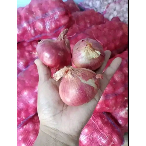 

Bawang India super