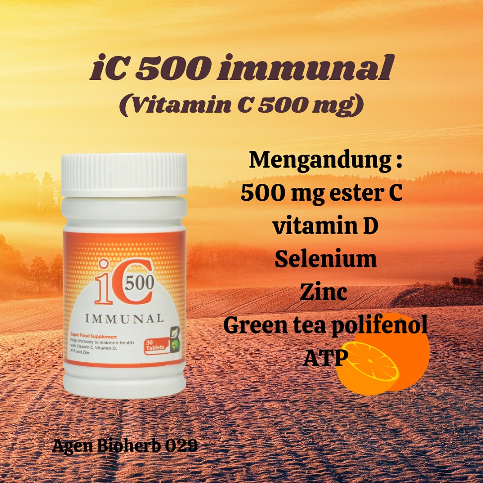 iC 500 immunal - vitamin C 500 mg - ester C - aman untuk lambung