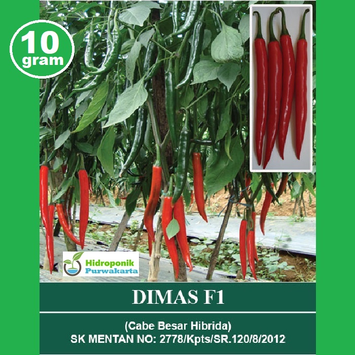 Benih Cabe Cabai Besar Hibrida Dimas F1 Cap Mutiara Bumi  Isi 10 Gram