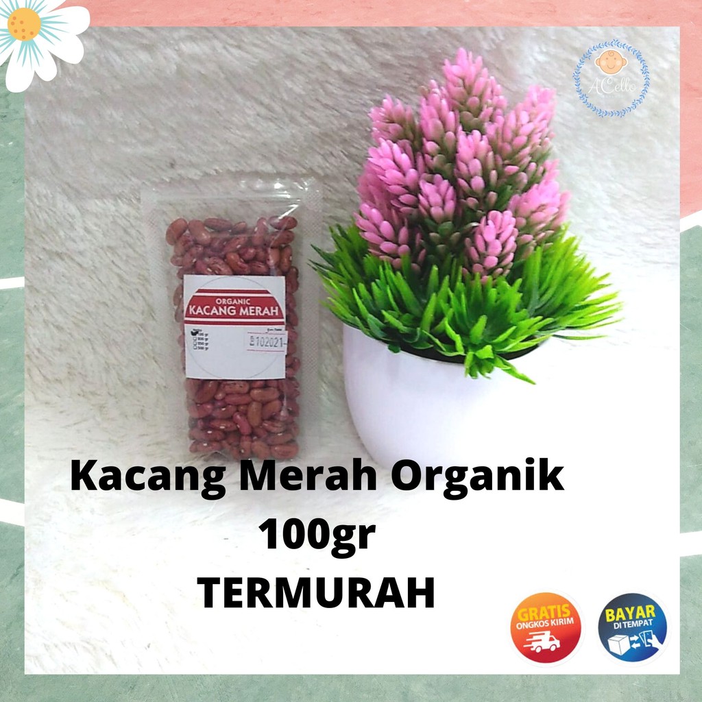 

[100 GR] KACANG MERAH ORGANIK / KACANG MERAH / KACANG MERAH MPASI