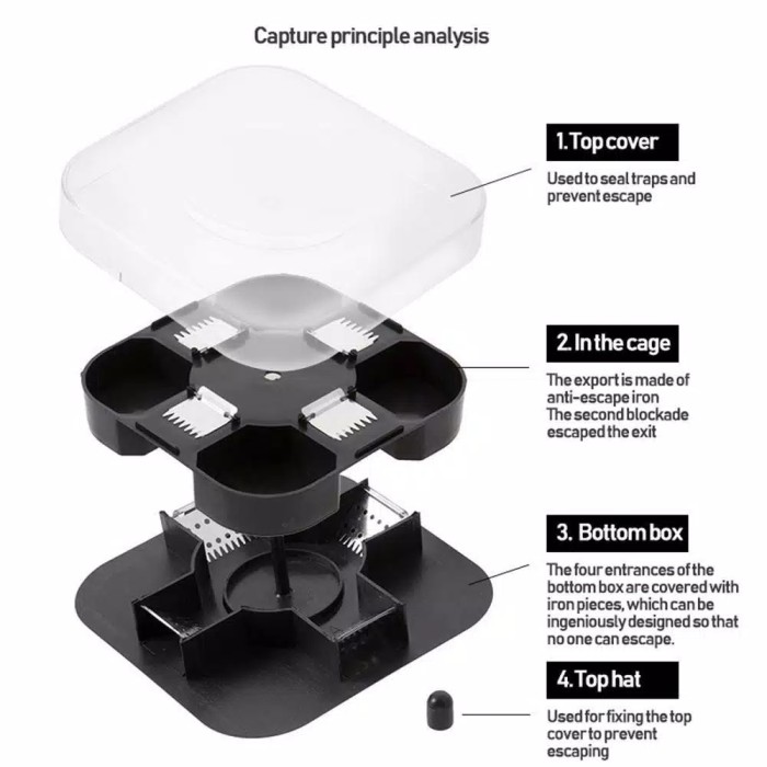 RUMAH perangkap kecoa kotak 4 sisi trap kecoa ampuh mempan cockroach trap bukan racun