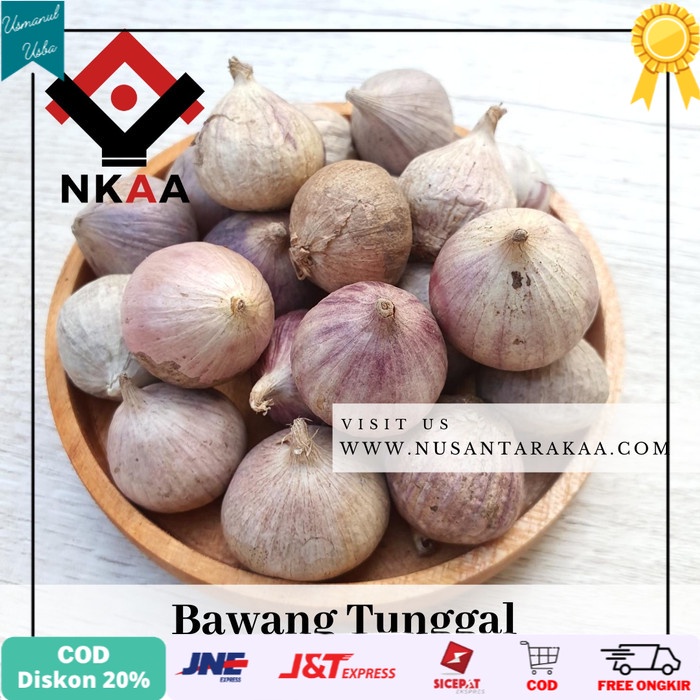 

❤COD❤ Bawang tunggal 1kg - ukuran besar