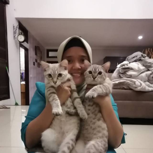 adehfebrianti