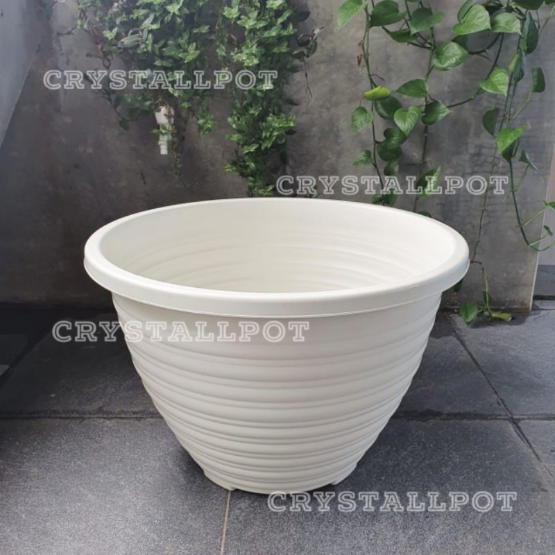 Pot bunga tanaman tawon putih kuping 48cm - BEE 482