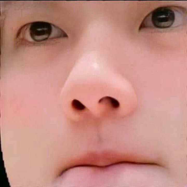 Baju Batik Pria Lengan Panjang Reguler M L Xl Xxl Kemeja Batik Pria Pekalongan Bahan Katun Prima