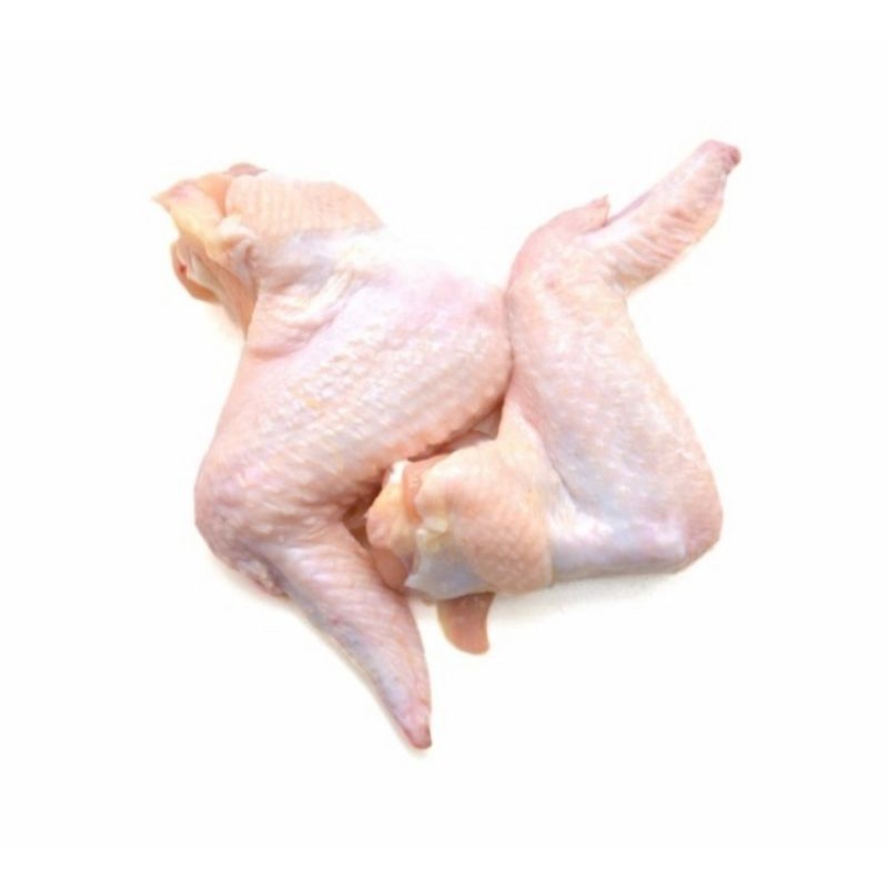 

SAYAP AYAM