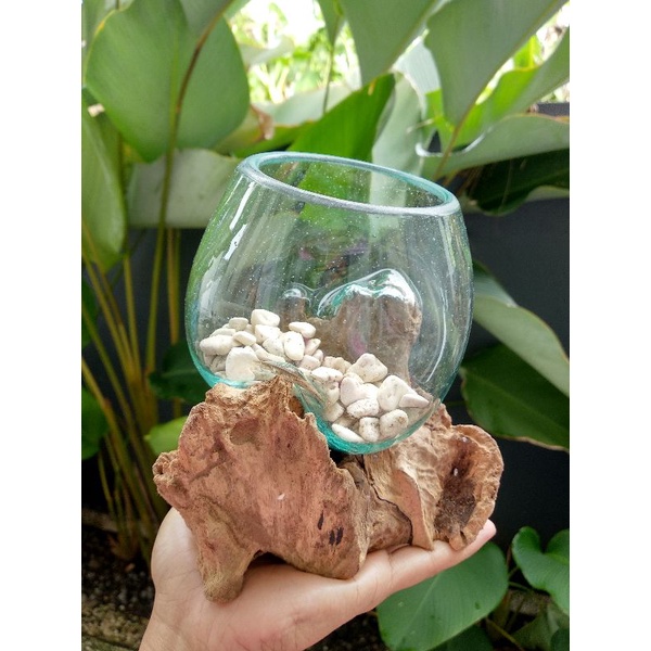 GLASSWOOD BALI | AQUARIUM TIUP 15CM | AQUARIUM CUPANG | POT KACA TANAMAN AIR | AWUARIUM UNIK