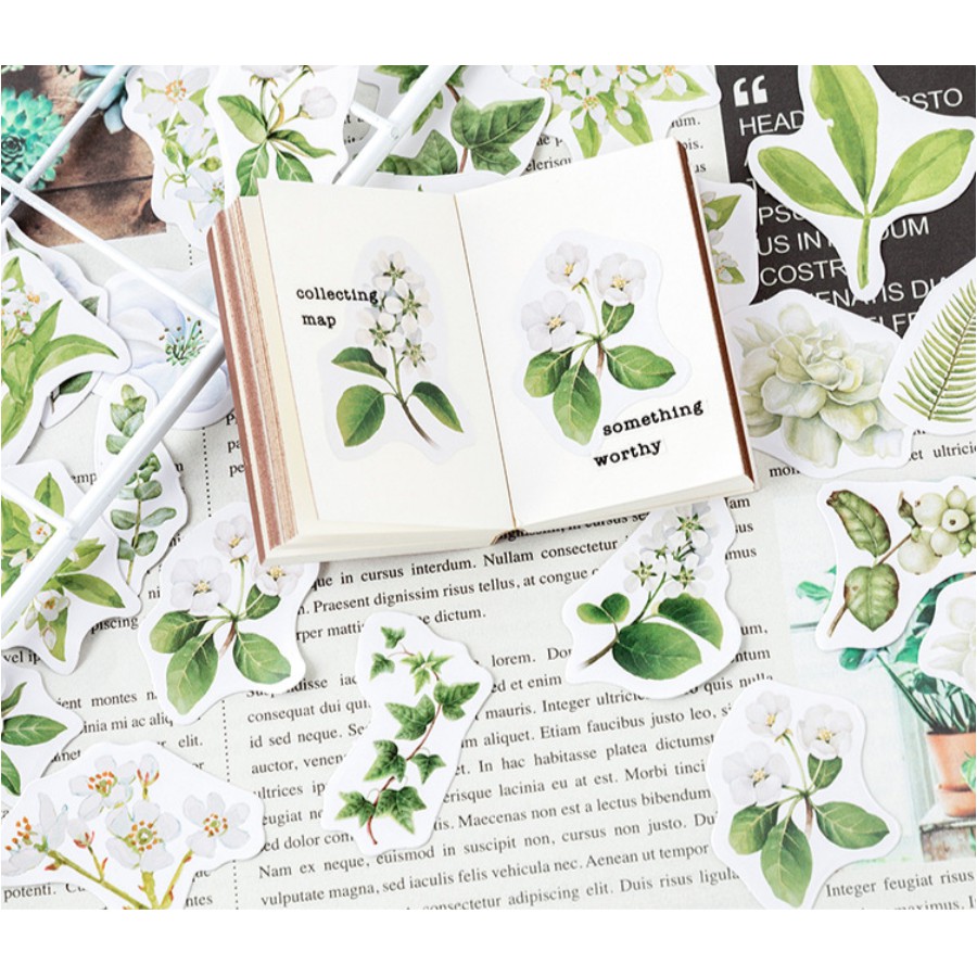 

greenish series sticker set