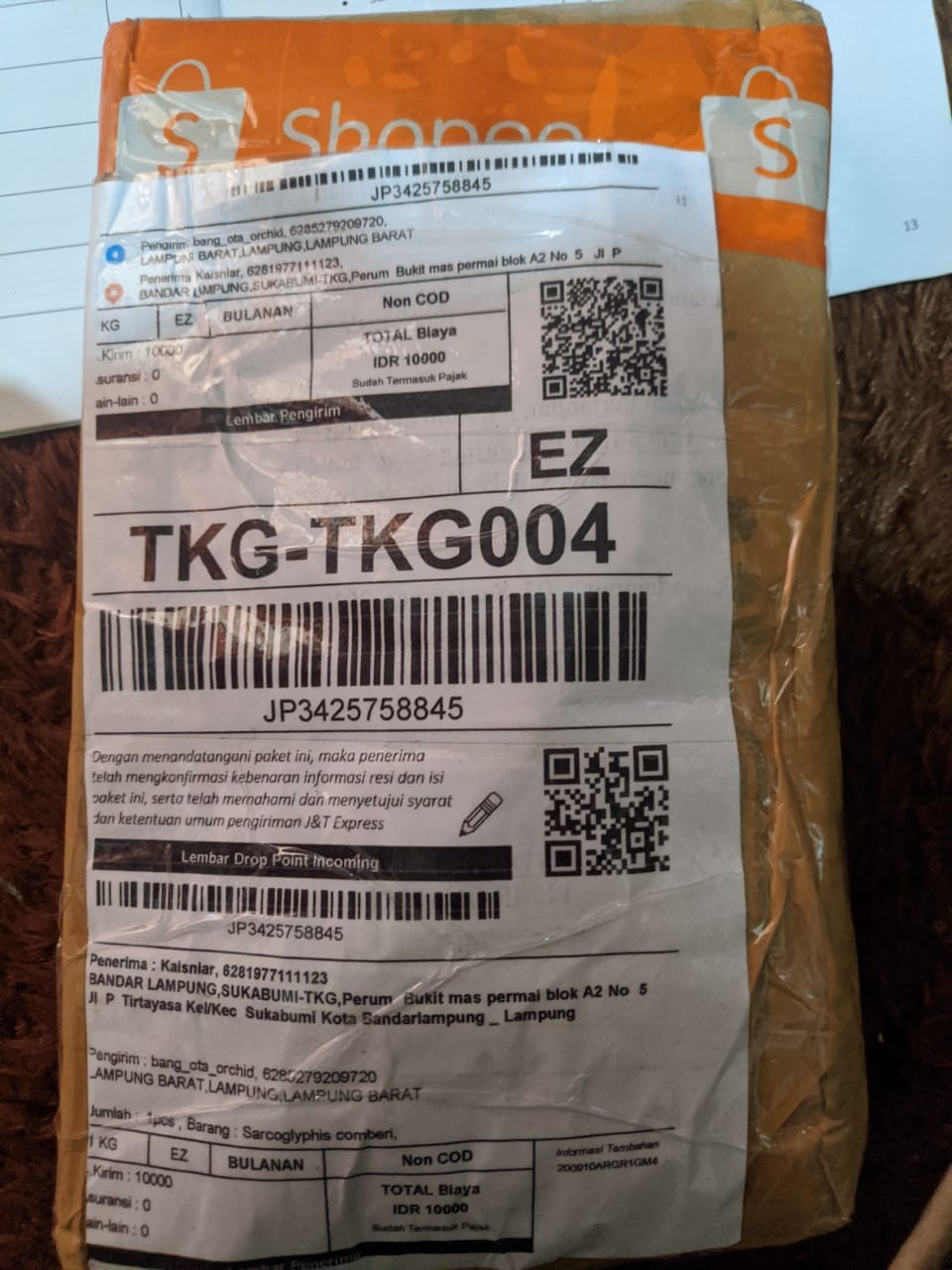 Sarcoglyphis Comberi