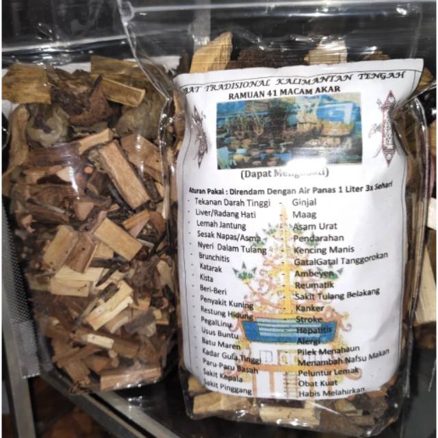 

RAMUAN 41 MACAM AKAR/HERBAL MENGOBATI SEMUA PENYAKIT