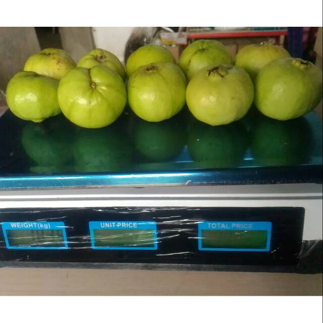 

Jambu KristaL mini