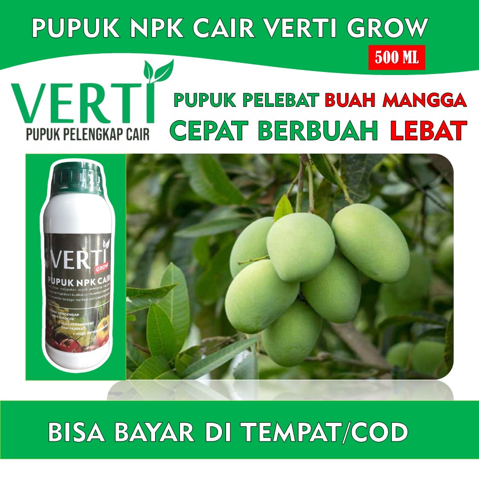 Pupuk Perangsang Mangga Biar Cepat Lebat, Pupuk Pelebat Buah Mangga VERTI GROW Pemacu Pembuahan Buah