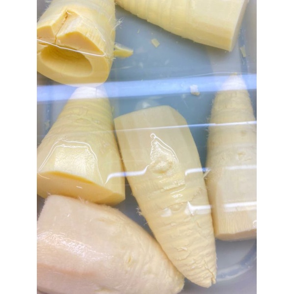 

Rebung whole fresh RRC | 500 grm