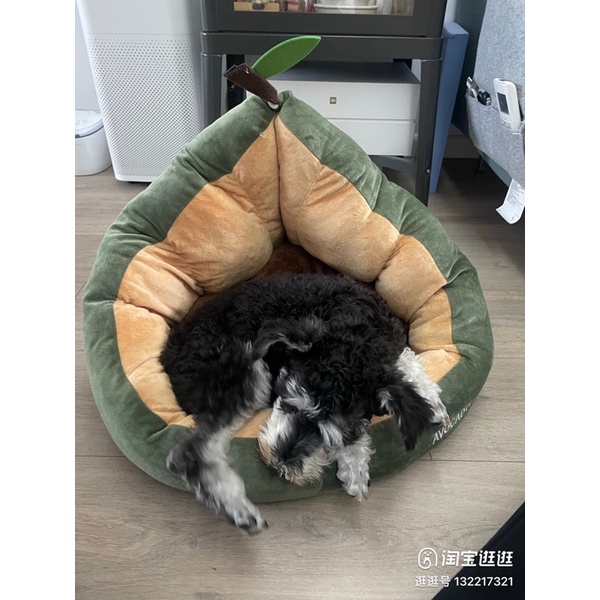 Avocado Bed Matrass Ranjang Lucu  for Cat Dog Pet