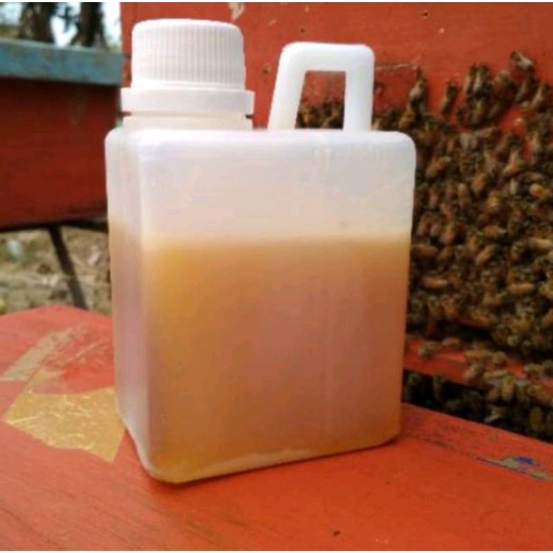 

Madu Murni Nektar Bunga Randu 500gr