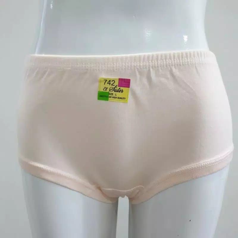 Celana Dalam Wanita Katun Tebal / celana dalam wanita murah merek sister