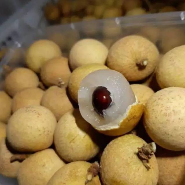 

Buah kelengkeng