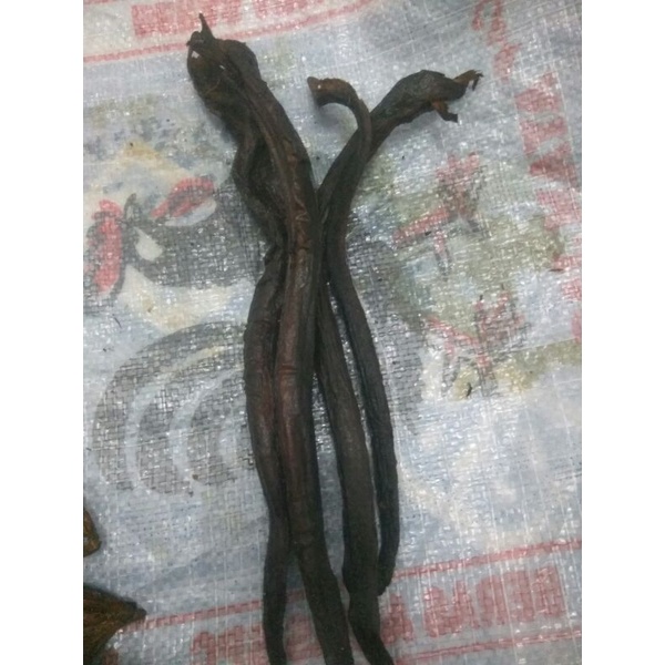 

belut asli rawa salai/asapan