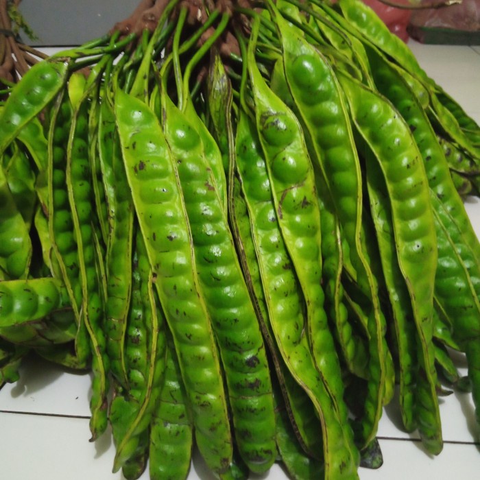 

Bf31Gf Pete Super Tua Gdf601