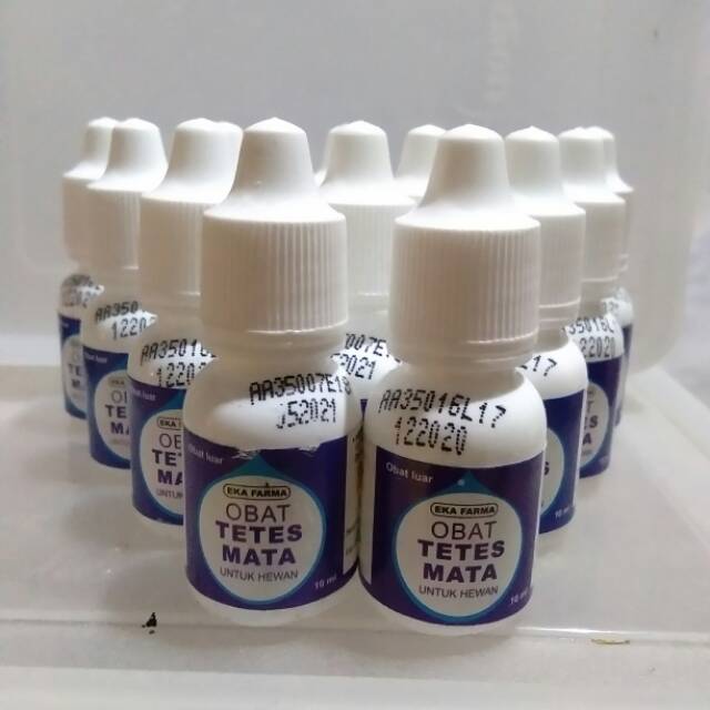 OBAT TETES MATA HEWAN
