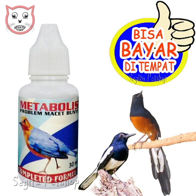 VITAMIN BURUNG MACET BUNYI MURAI KACER KICAU GACOR METABOLIS