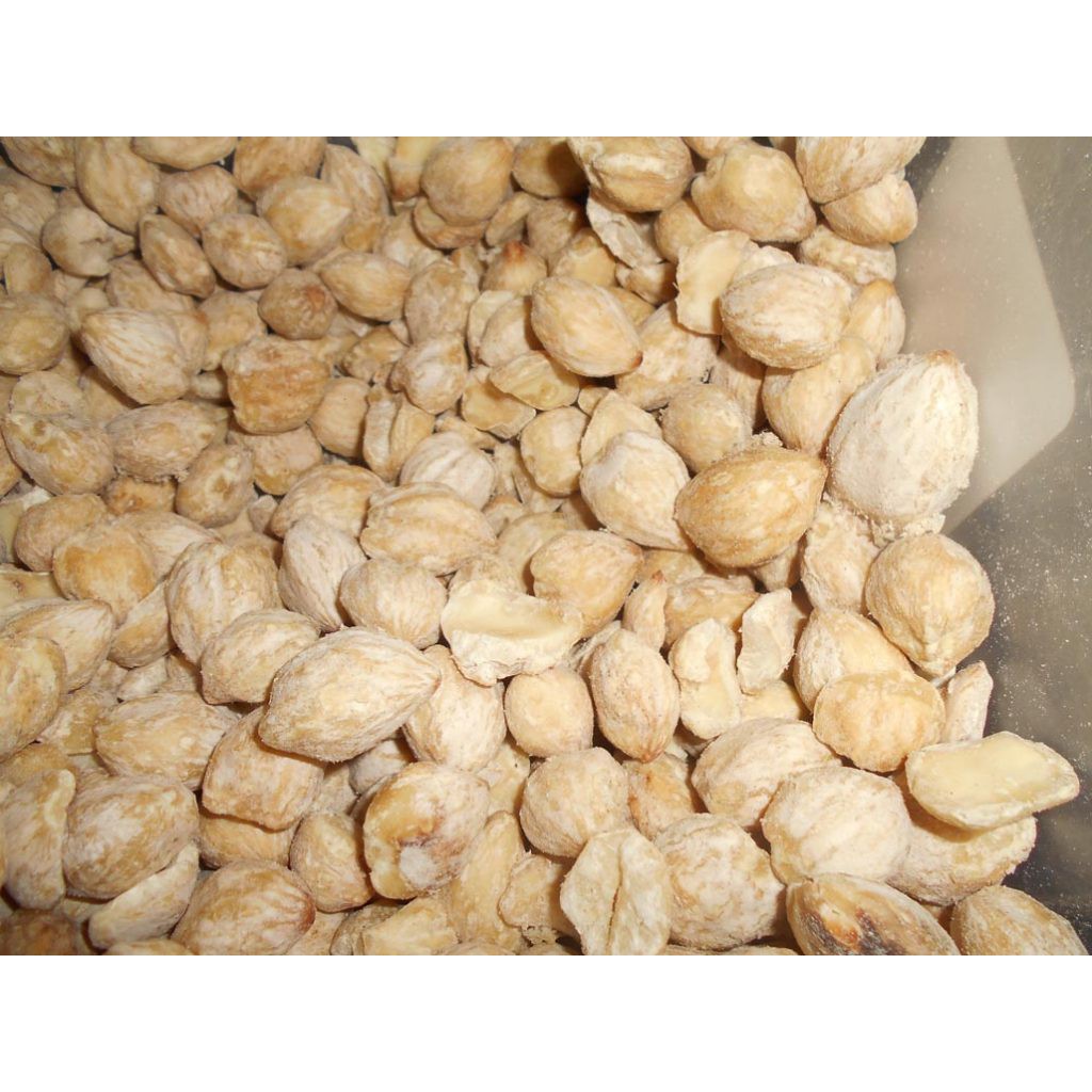 

kemiri / muncang 250 gram | GRATIS minimal belanja 69rb CEK DESKRIPSI