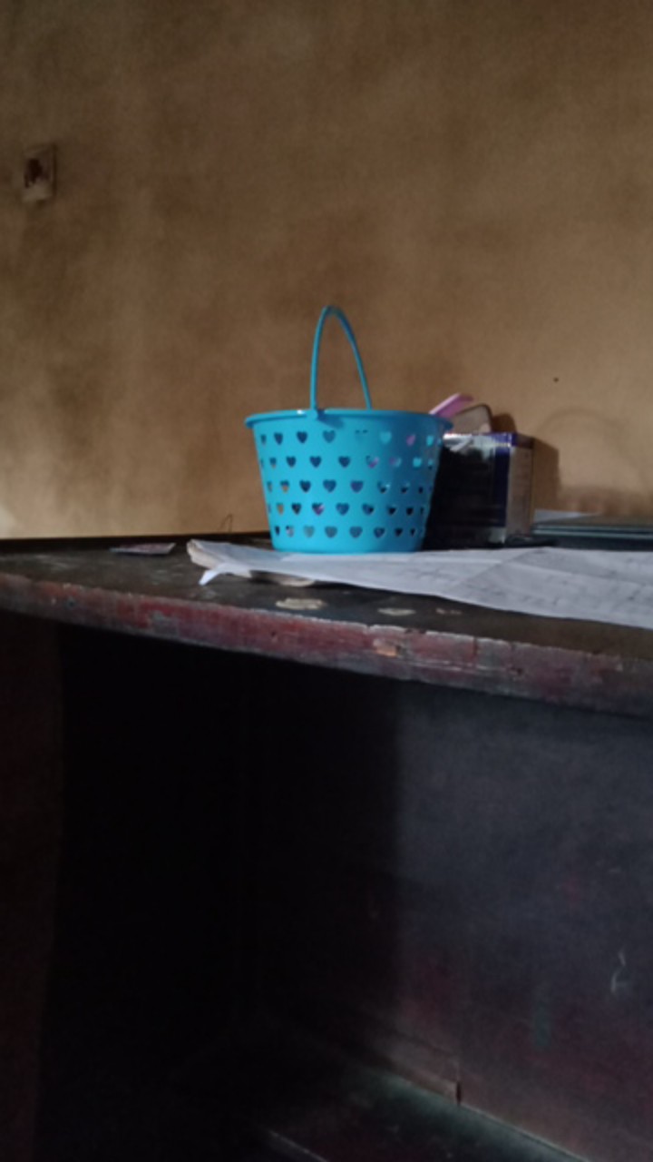 Sikat Baju Sedang / Sikat Kaki / Sikat Wc / Sikat Garansi Termurah