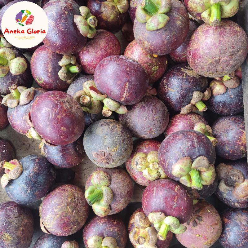 

Buah Manggis Segar 1 Kg Fresh