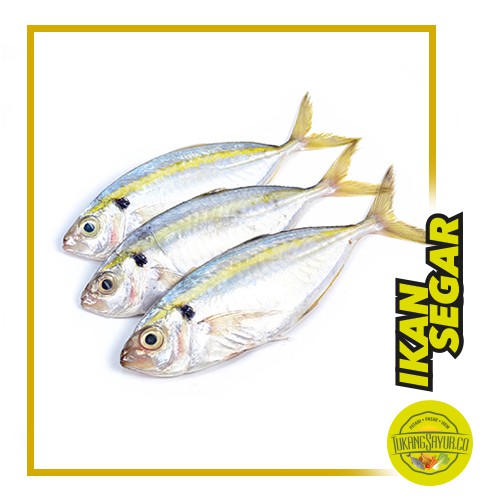 

Ikan Selar - 500 gr