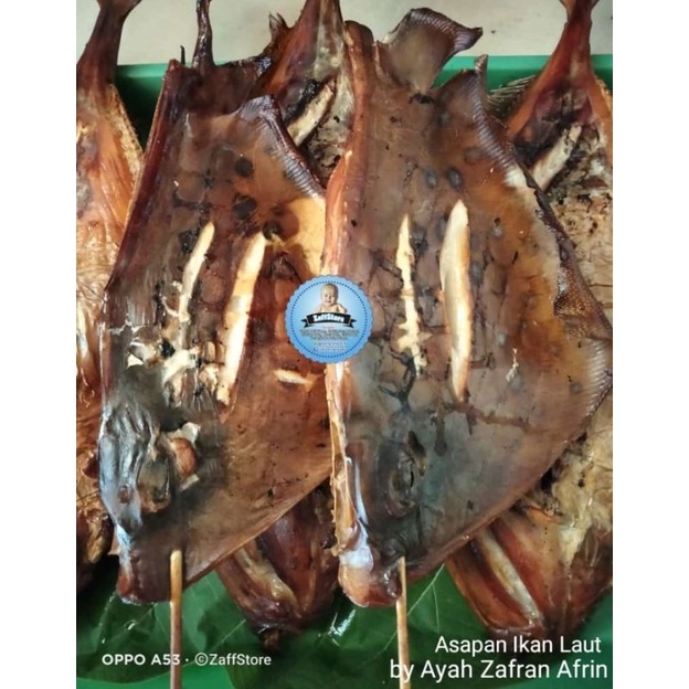

PE Asap || Asapan Ikan PE/Pari || PE Gemol