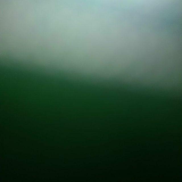 Mika Bento 2 Sekat + Tutup - Kotak Makan Skat 2 - Hitam - Isi 50 Pcs