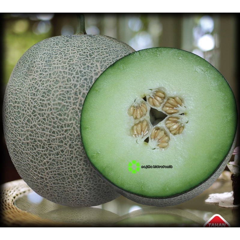 3 Benih Melon Hijau Melani Repacking (Bintang Asia)