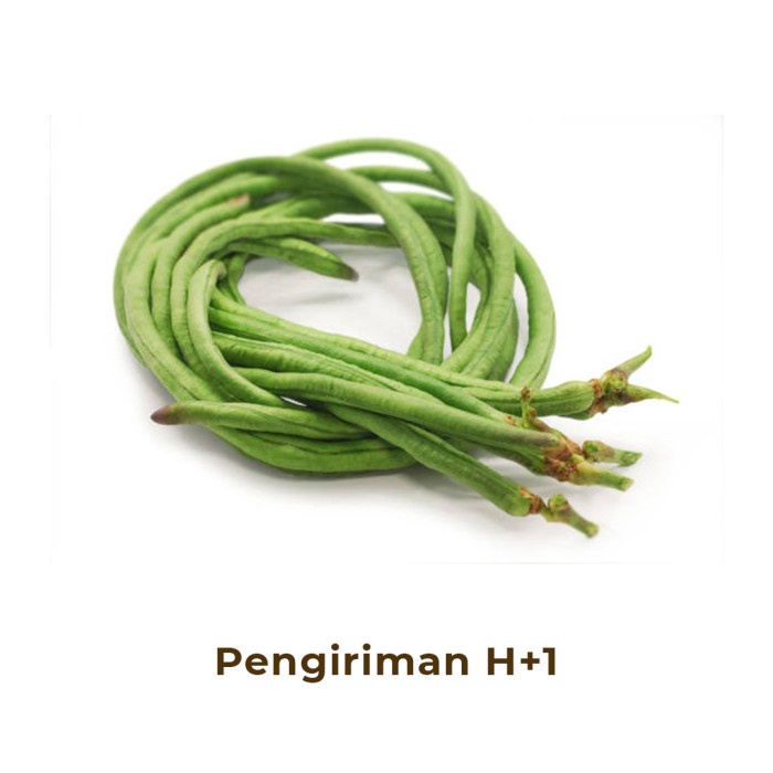 

Kacang Panjang Segar / Fresh Long Bean