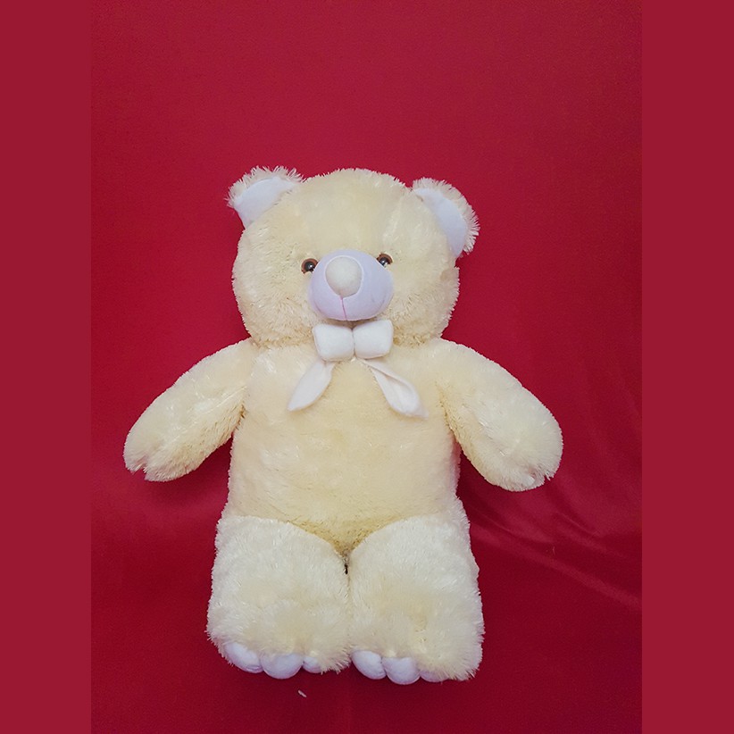 Boneka Beruang Teddy bear 1M jumbo