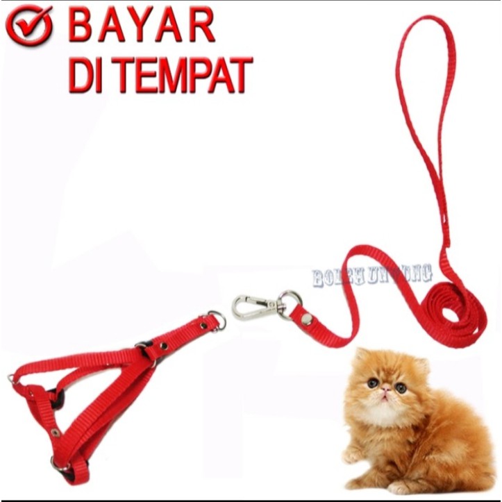 TALI TUTUN HERNES Y Kucing Musang Puppy Monyet Pengikat Hewan