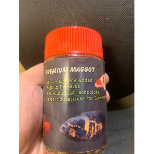 maggot premium magot bsf kualitas premium maggot ulat kering