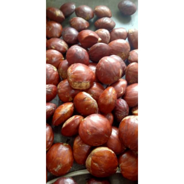 

JENGKOL SUPERR 28RB PERKILO