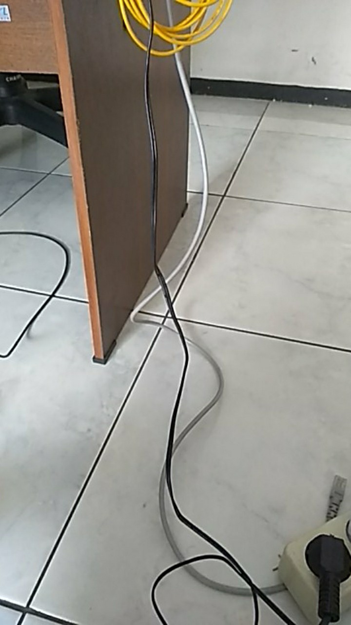 Naim_surya_asemka_kamper Tikus Dan Kecoa