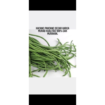 

kacang panjang segar