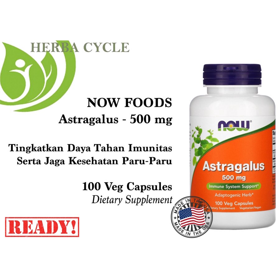 Now Food Astragalus 500mg 100cap Kesehatan Imun Tubuh ORI USA NOW