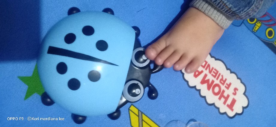 Lady Bug Kumbang Tempat Sikat Gigi Odol / Lady Bug Kumbang Multifungsi