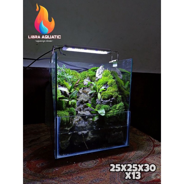 paludarium / mini paludarium