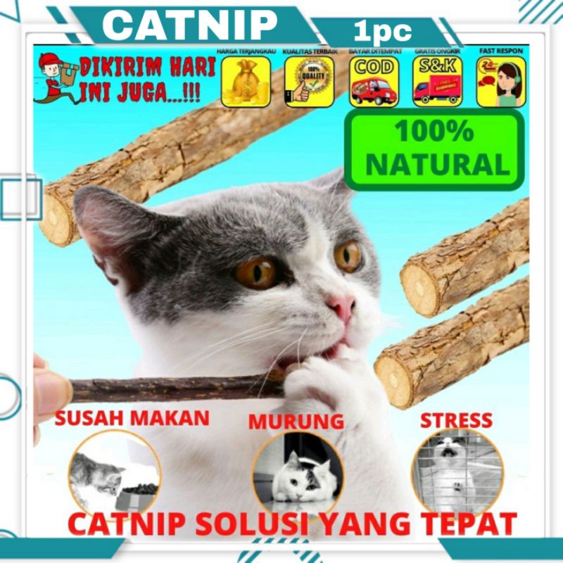 Catnip Kucing Stick Snack Mainan Kucing Natural Matabi Cat Toys Catnip