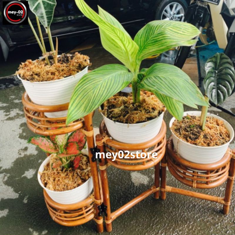 Rak Susun Vas Pot Bunga Rotan model Lipat