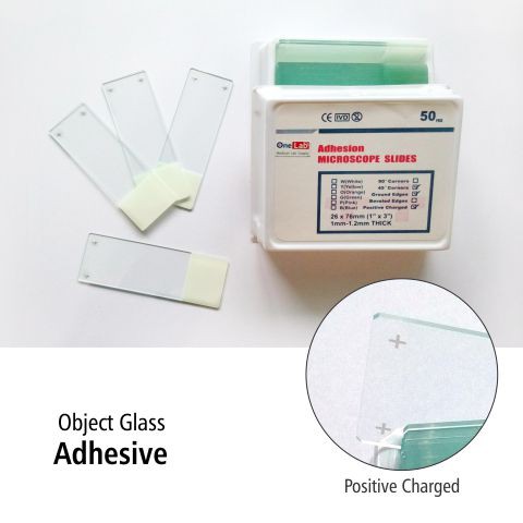 Object Glass Adhesive OneLab box isi 50pcs