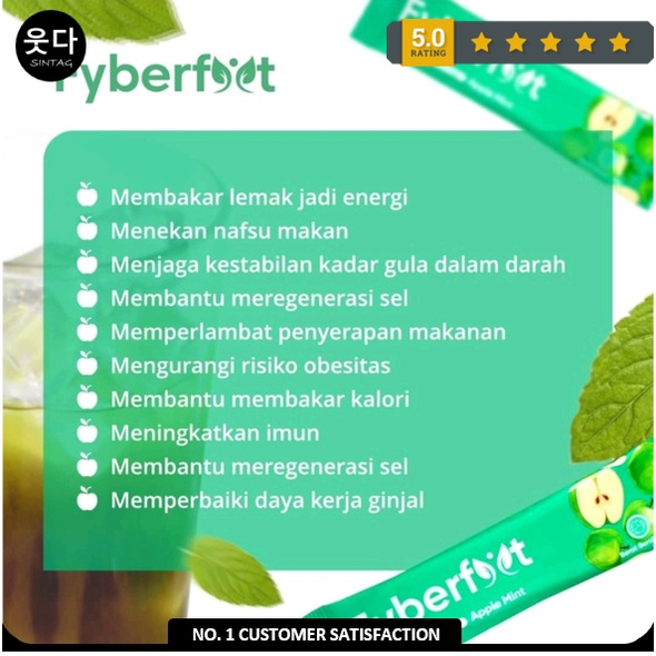 Minuman Diet Serat Fyberfyt Suplemen Detox Pelangsing Penurun BB Alami