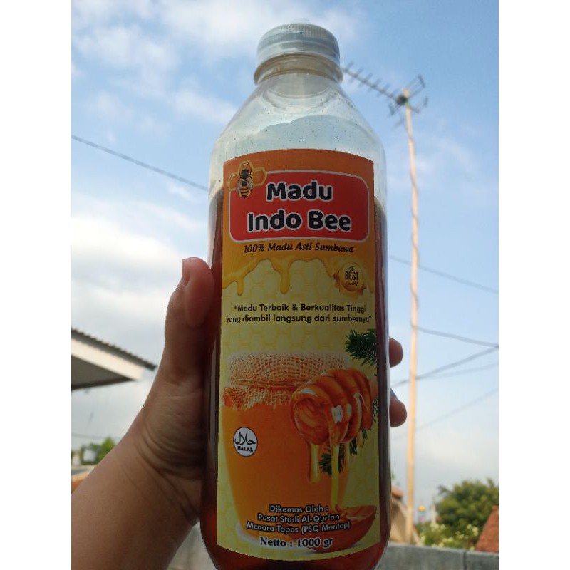 

madu indo bee