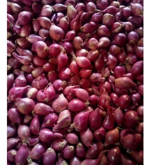 

⛄Diskon Bawang Merah Kering Tanggung Campur Kecil 5.5 SALE/F⚡ASH SALE/【F⚡ASH SALE✅】/Terbaik/(Terbaik)